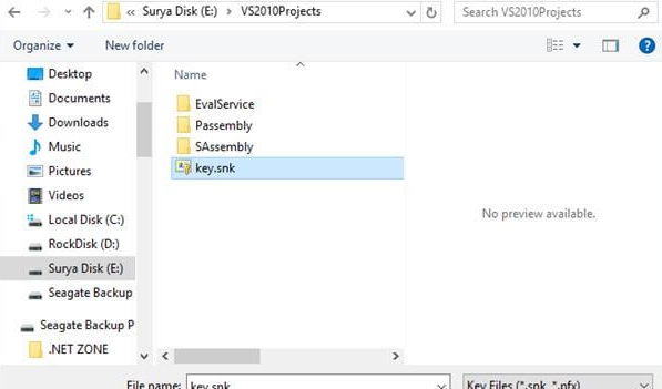 Inside the visual studio